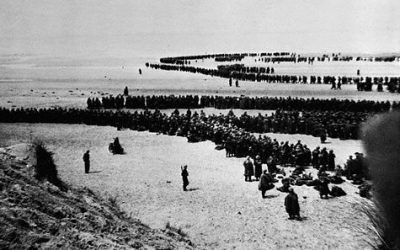 25th Animal Transport Company at Dunkirk